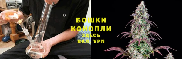 дурь Нея