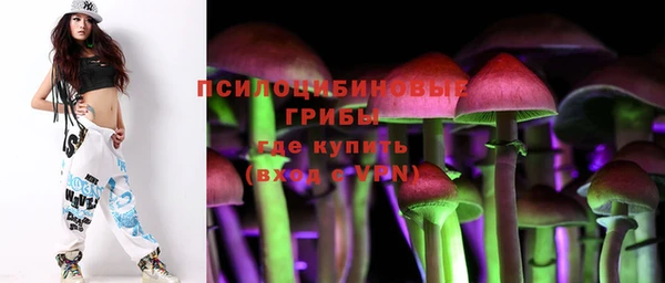 мяу мяу мука Абаза
